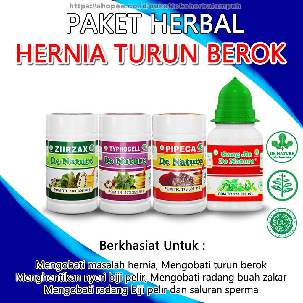 Jual Paket LENGKAP Obat Hernia Turun Berok Asli De Nature Obat Hernia