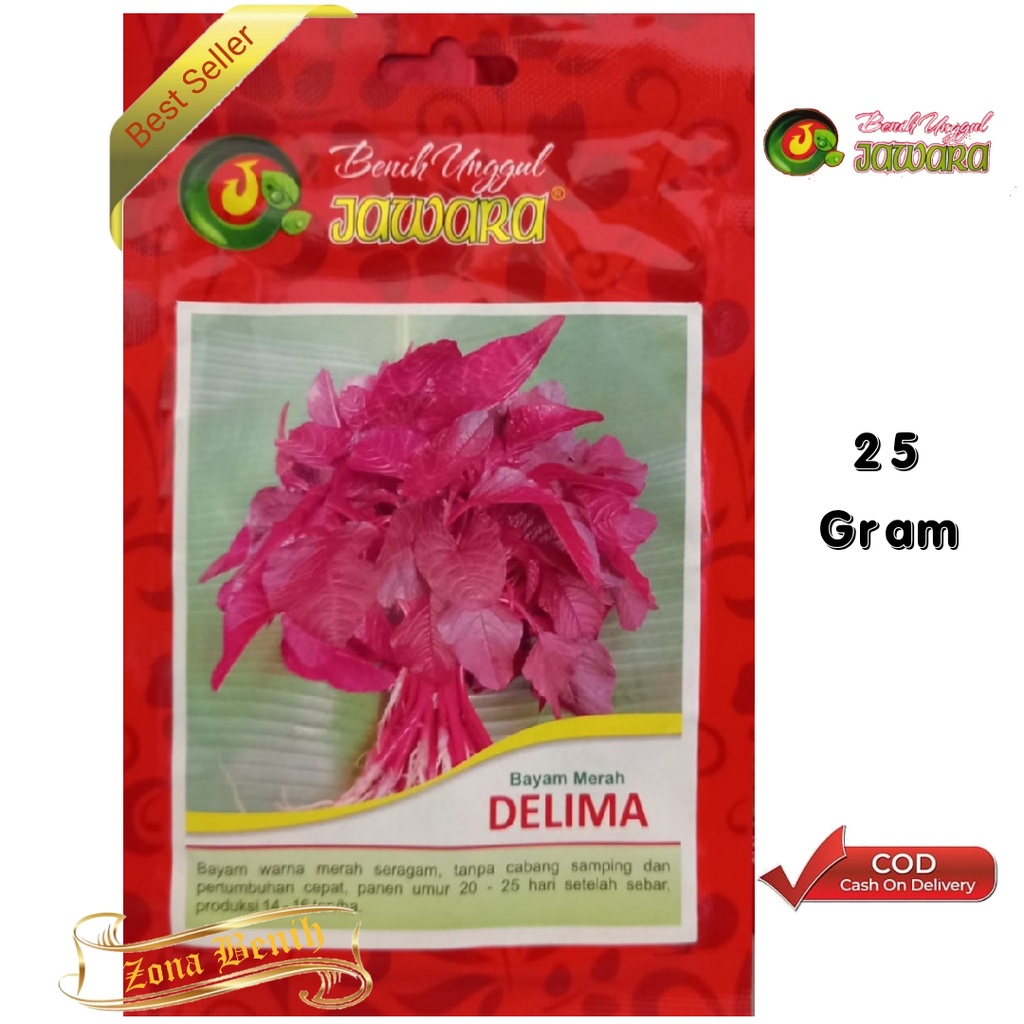 Jual Bibit Bayam Merah Varietas DELIMA Isi 25 Gram - Benih Bayam Merah ...