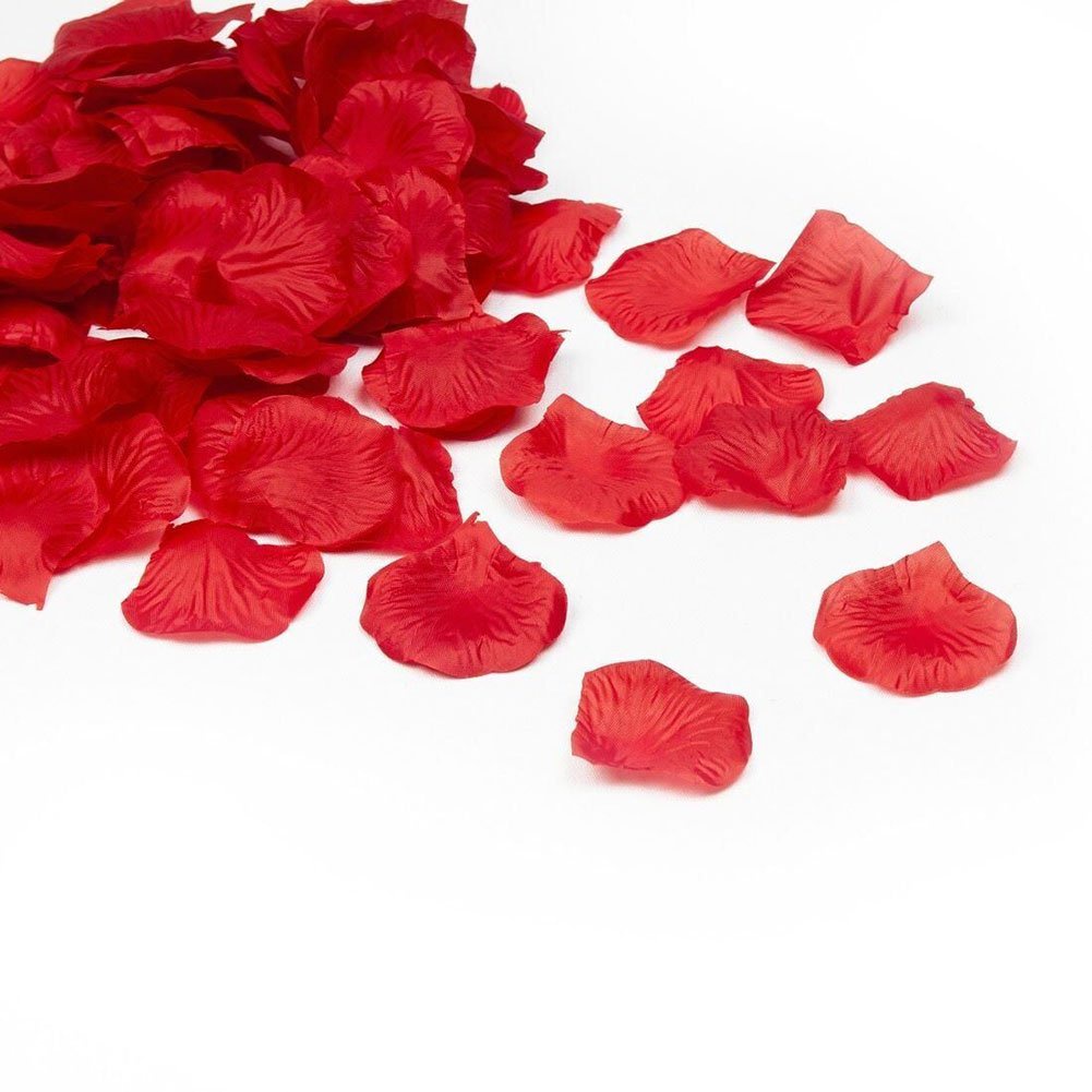 Jual Rose Petal Rosepetal Mawar Palsu Shopee Indonesia   3da36cabf81843fb71b6238c5b7483e7