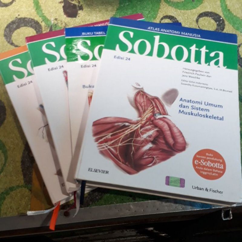 Jual Atlas Anatomi Manusia Sobotta Edisi 24 | Shopee Indonesia