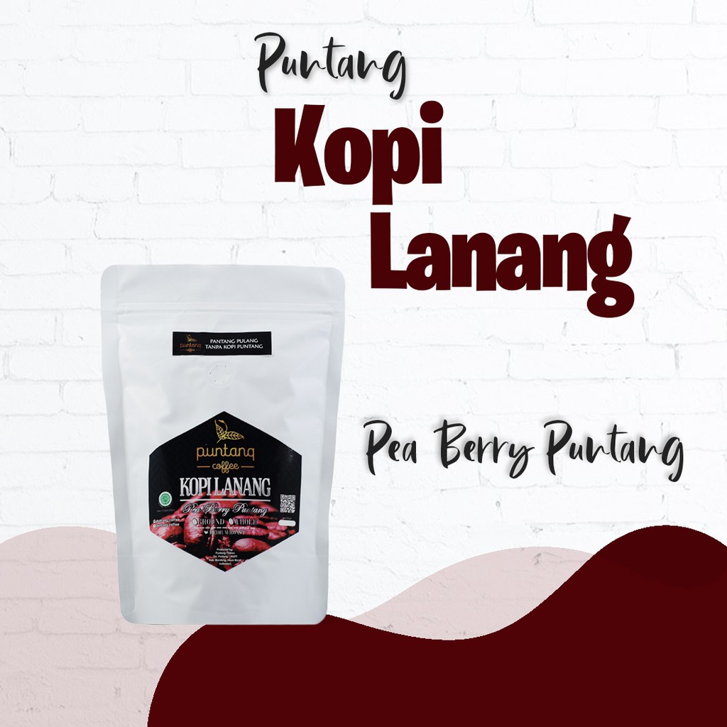 Jual Kopi Lanang, Kopi Jalu, Peaberry Coffee Asli Gunung Puntang 500g