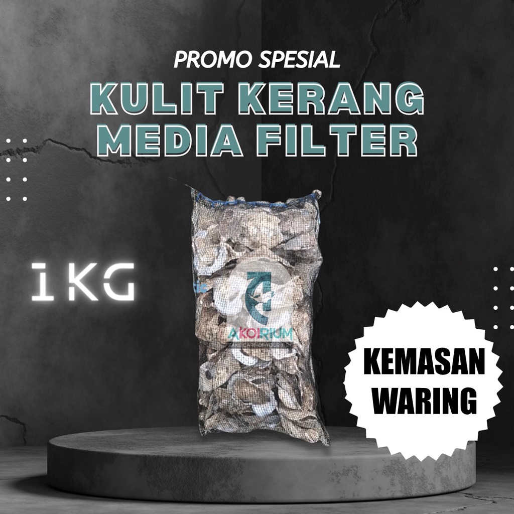 Jual CANGKANG KERANG TIRAM OYSTER SHELL KARANG TIRAM UNTUK MENAIKAN PH