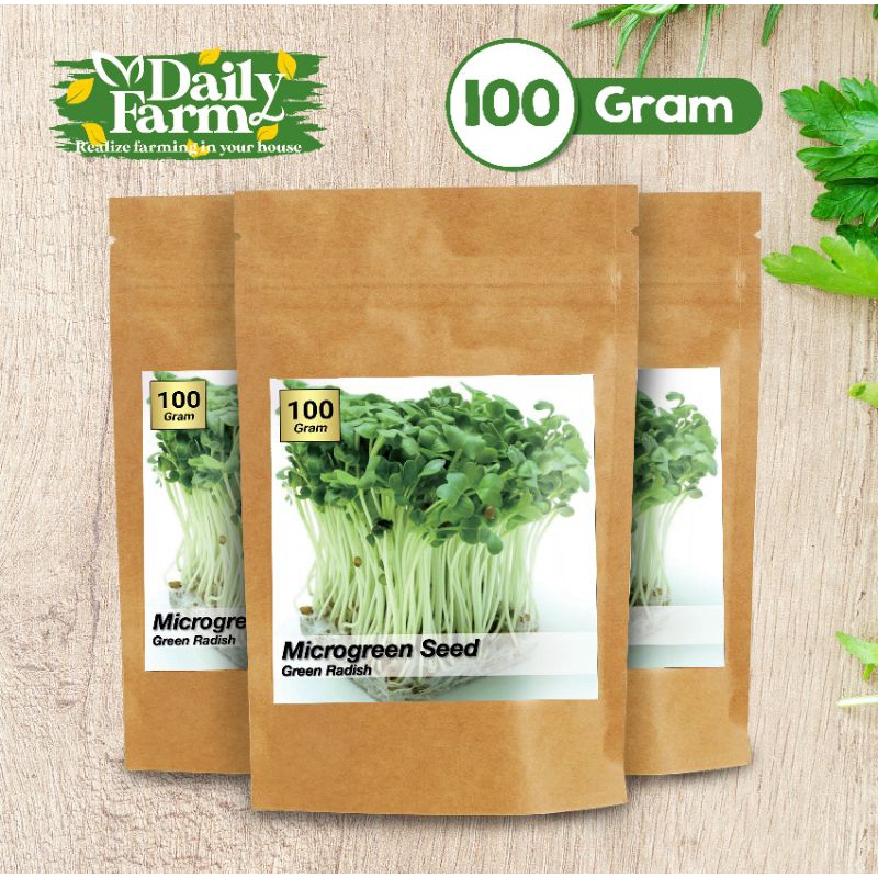 Jual Benih Sayur Microgreen Green Radish ( 100 Gram ) - Bulk Size ...