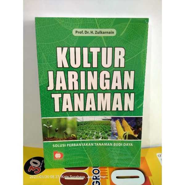 Jual Kultur Jaringan Tanaman Solusi Perbanyakan Tanaman Budi Daya ...