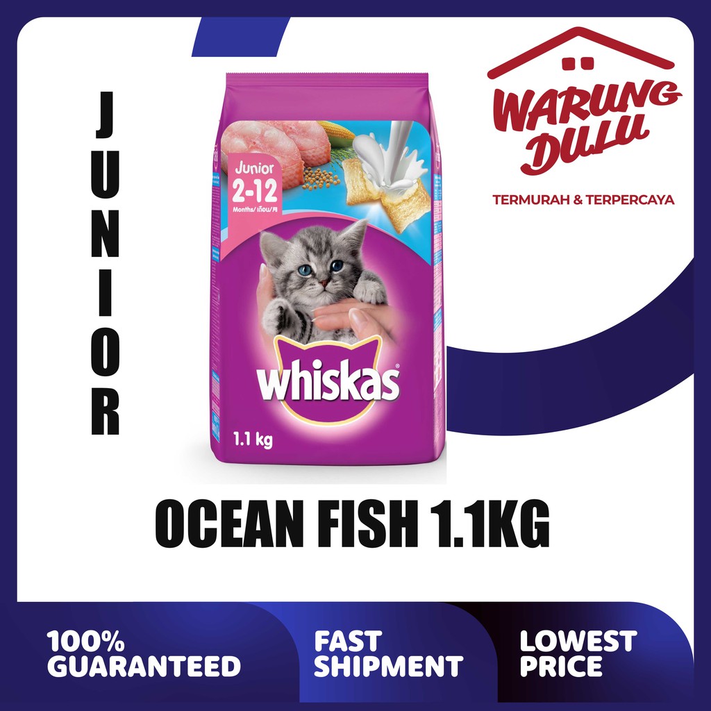 Jual WHISKAS JUNIOR OCEAN FISH 1.1KG Shopee Indonesia