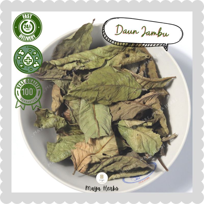 Jual Daun Jambu Biji Kering 10 gram / Obat Diare ( Psidium Guajava ...