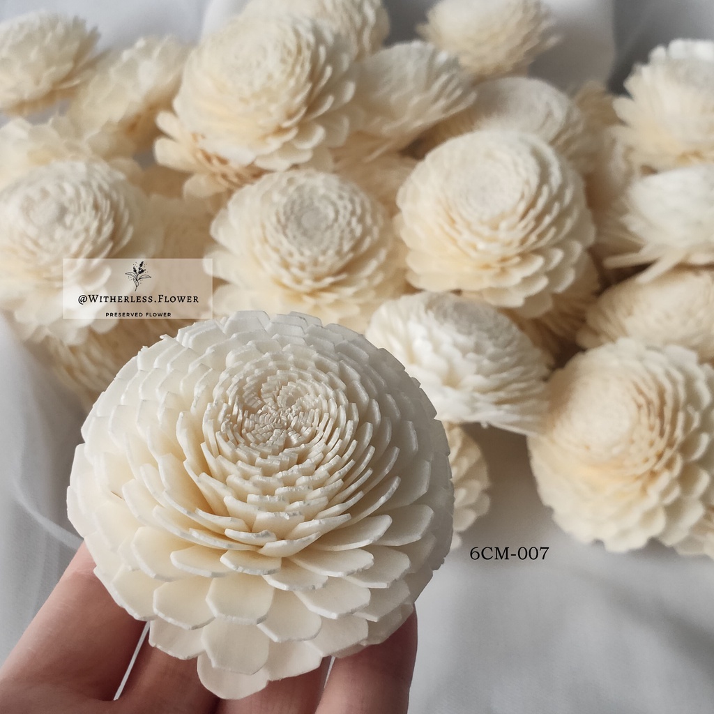 Jual Bunga Sola Wood Flowers 6 CM / Bunga Kayu | Shopee Indonesia