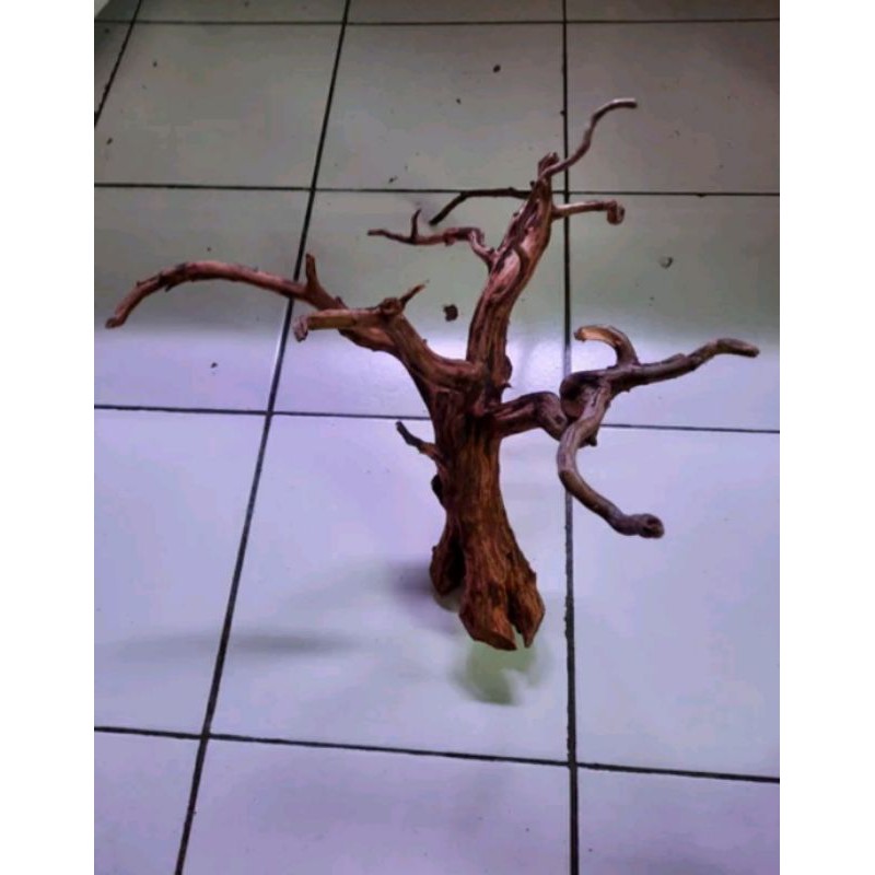 Jual Kayu Rasamala Aquascape Pilihan | Shopee Indonesia