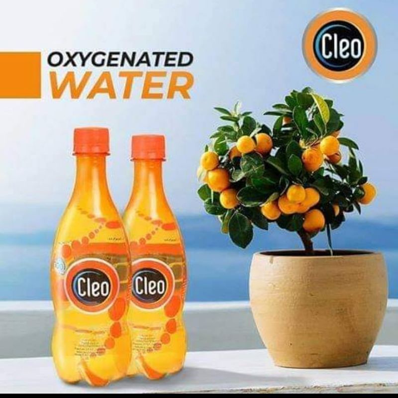 Jual Cleo Oxygen Water (Minuman Beroksigen) 500ml | Shopee Indonesia