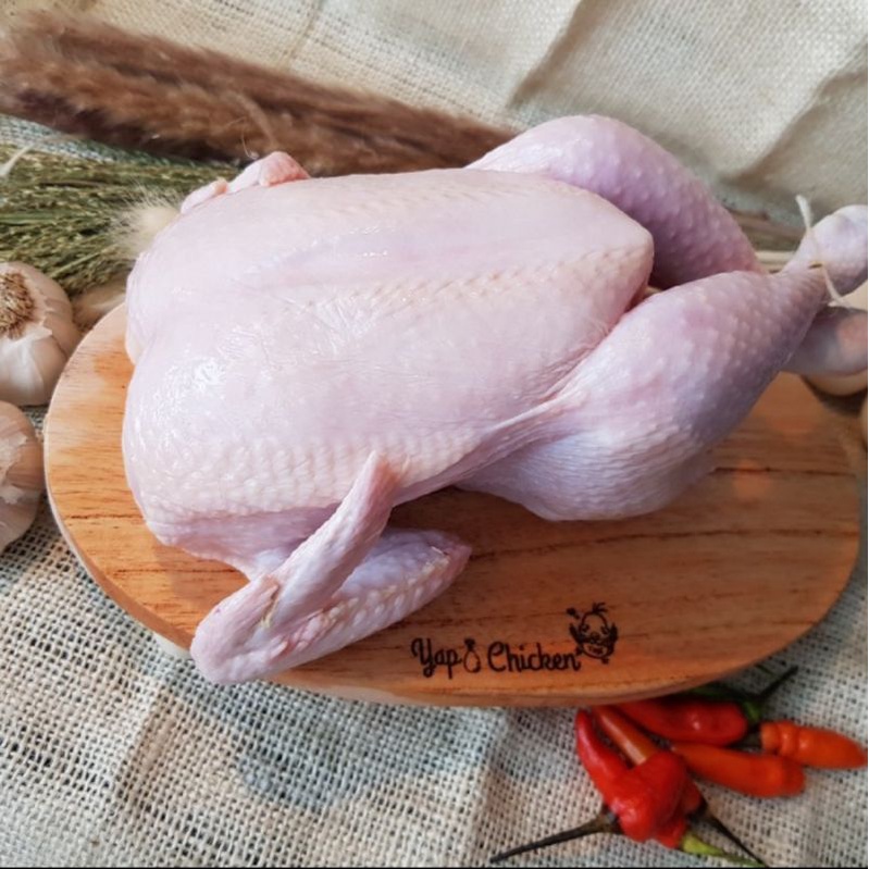 Jual Ayam Karkas Frozen Ukuran 600 700gram Shopee Indonesia