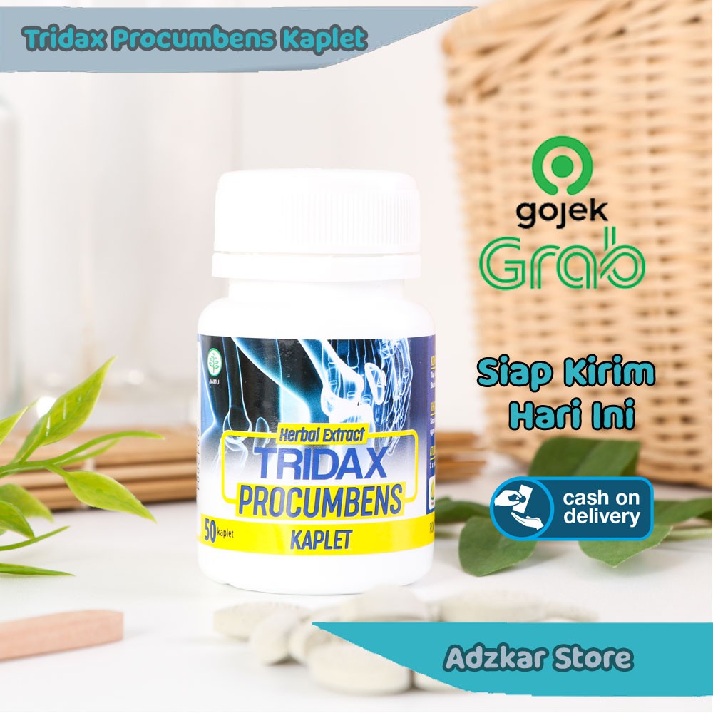 Jual Kaplet Tridax Procumbens Mengobati Rematik Dan Asam Urat Shopee