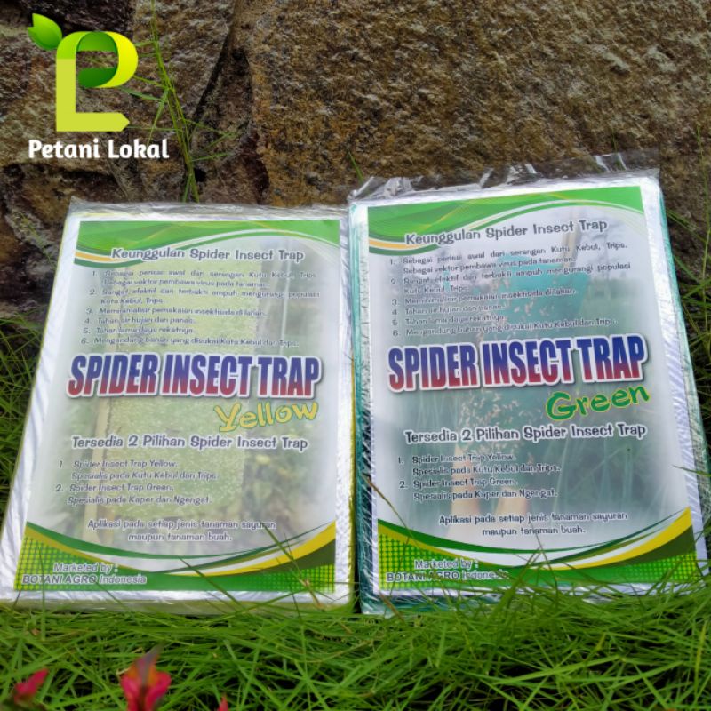 Jual Spider Insect Trap isi 20 Lembar Varian Green&Yellow perangkap ...