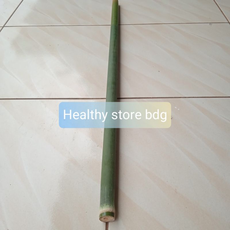 Jual Bahan seruling Bambu tamiang panjang 60 cm | Shopee Indonesia