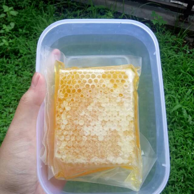 Jual Madu Sarang Malifera Mellifera Mallifera Asli Murni Raw Honey