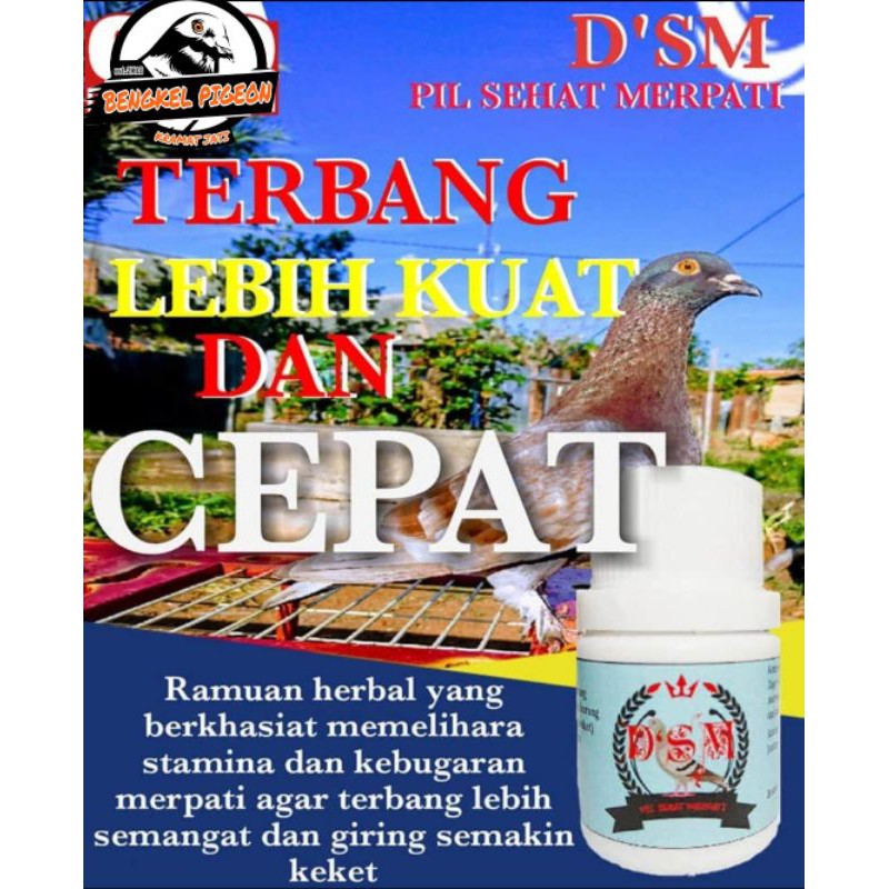 Jual Jamu Suplemen Vitamin Doping Pil Sehat Merpati Dsm Khusus Burung ...