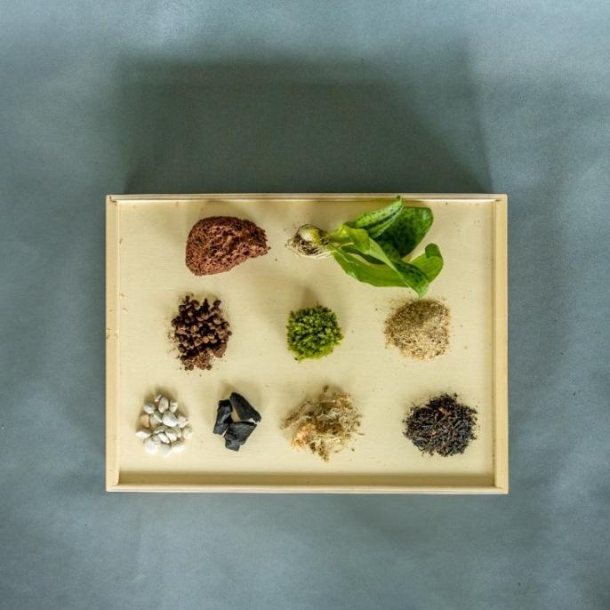 Jual Sebumi DIY Terrarium Starter Kit | Shopee Indonesia