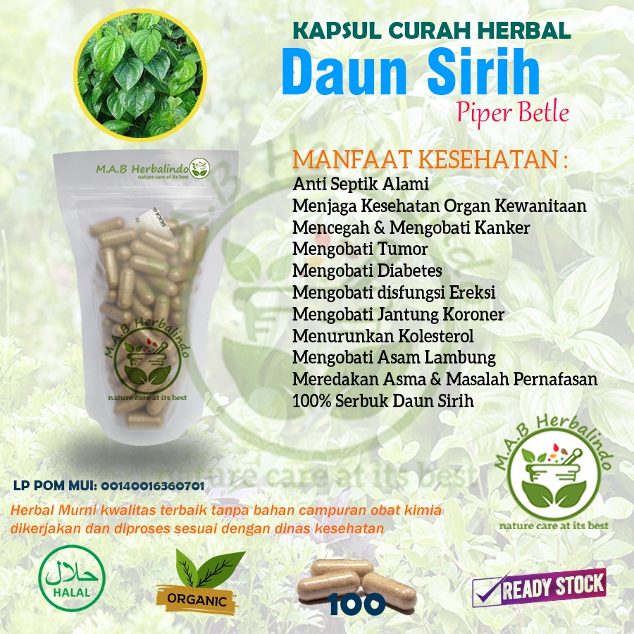 Jual Daun Sirih 100 Kapsul Herbal Antiseptik Prostat Sendi Lambung Jerawat Shopee Indonesia 5638