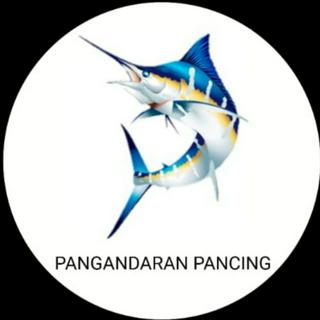 Jual Jaring Ikan Siap Pakai 3 Lapis Tinggi 1,5m Panjang 20m Timah Terbaru -  Dec 2023