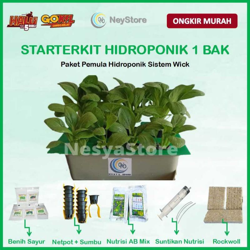 Jual Paket Hidroponik Wick Starterkit Hidroponik Wick 1 Bak 9 Lubang