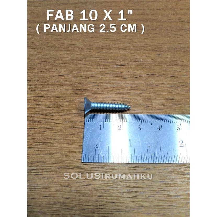 Jual 100 Skrup Philips FAB 10 x 1