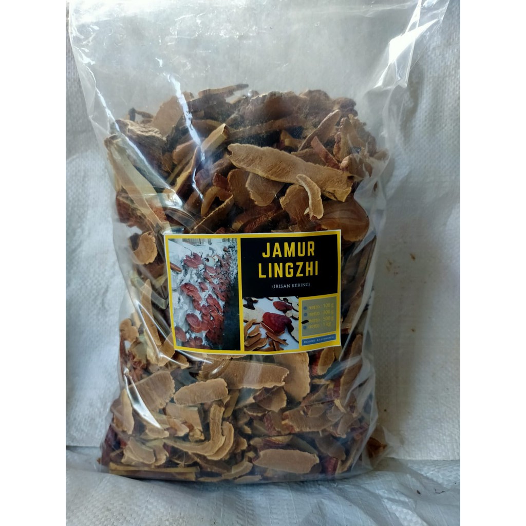 Jual Jamur Ling Zhi Lingzhi Ganoderma Kering 500 gr Shopee Indonesia