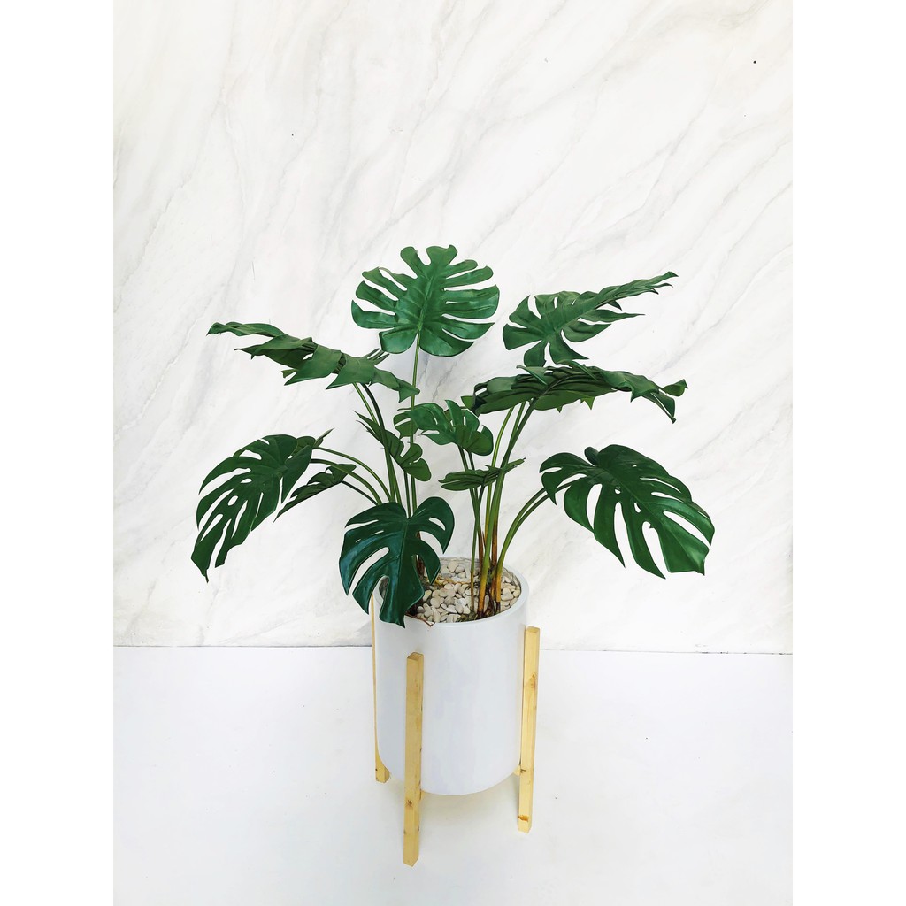 Jual Pohon Artificial Monstera Kualitas Bagus | Shopee Indonesia