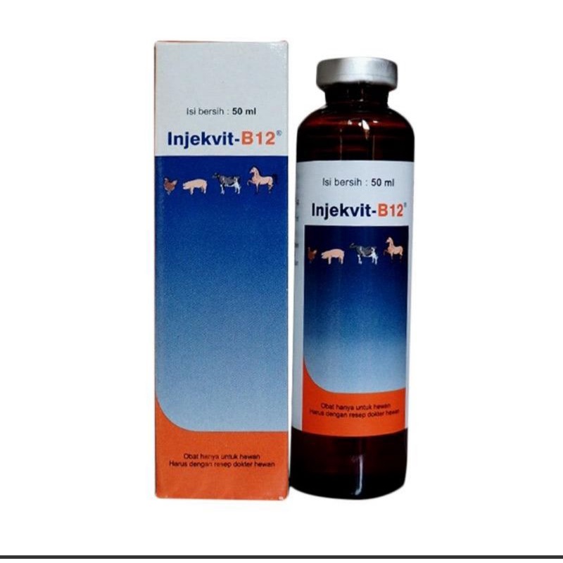 Jual INJEKVIT B-12 50 Ml | Shopee Indonesia