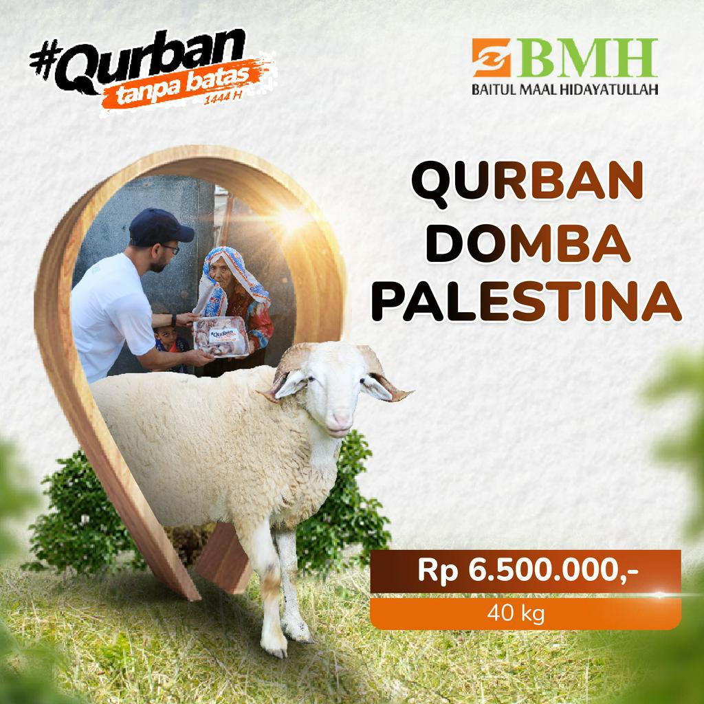 Jual BMH - Qurban Domba Palestina | Shopee Indonesia