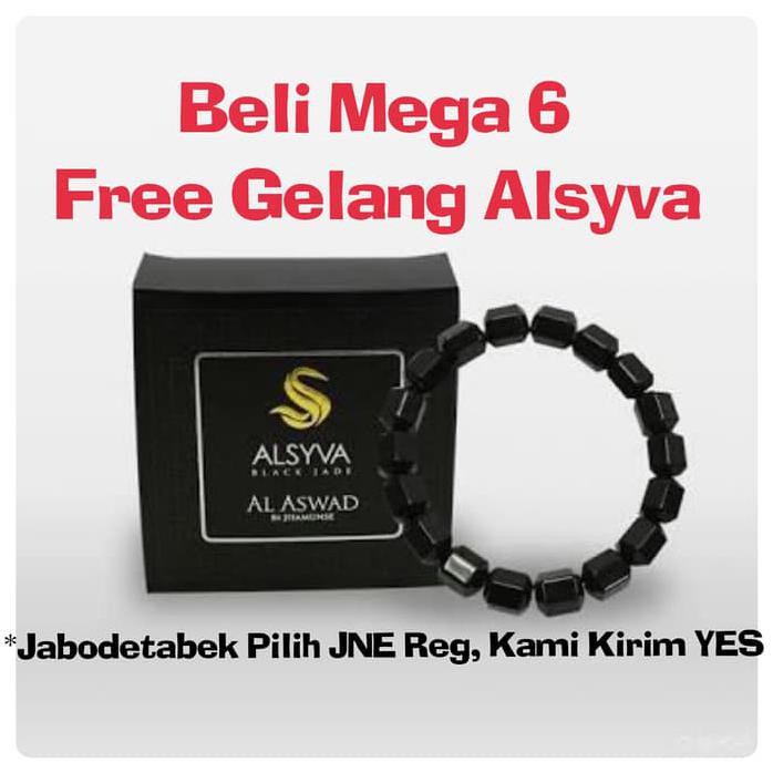 Jual Mega 6 Botol Air Terapi (Botol Mega 6 Terapi Kesehatan) | Shopee ...