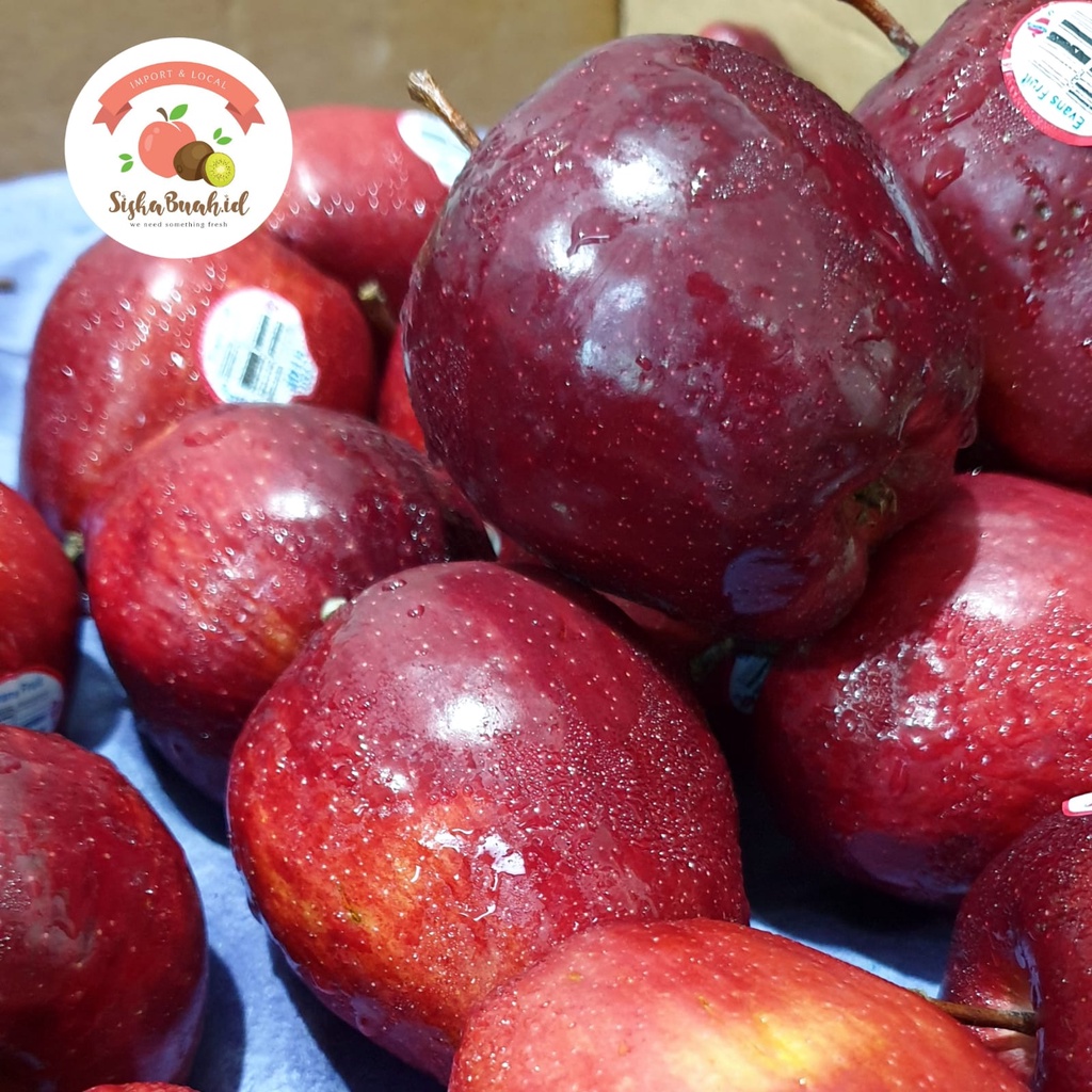 Jual Apel Red Delicious | Apel Washington | APEL MERAH - APEL IMPORT ...