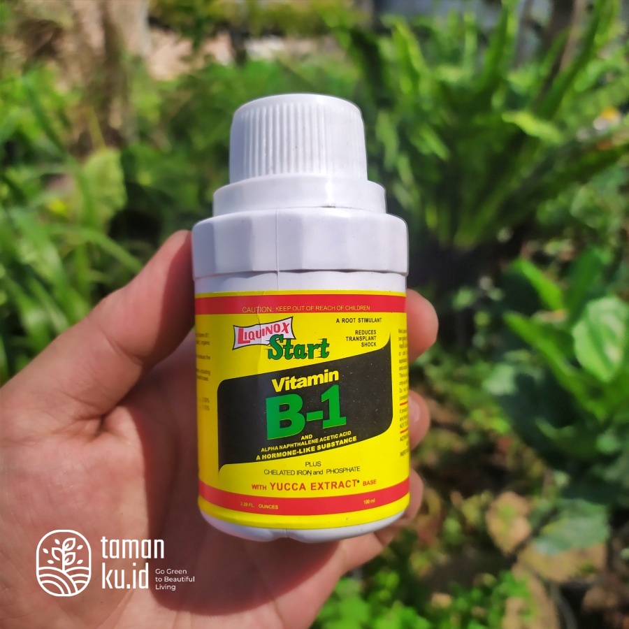 Jual Pupuk Vitamin B1 Anti Stres Tanaman / Pupuk Cair Akar Dan ...