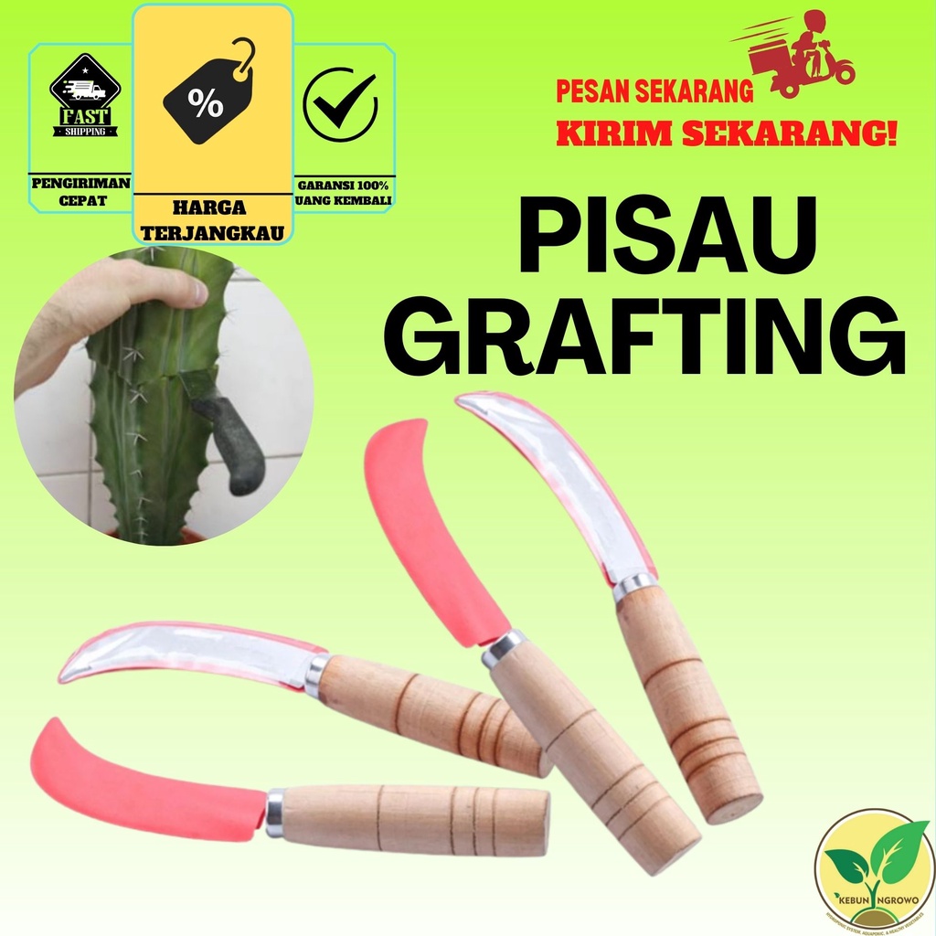 Jual Pisau Mini Grafting Tajam Okulasi Batang Tanaman Shopee Indonesia