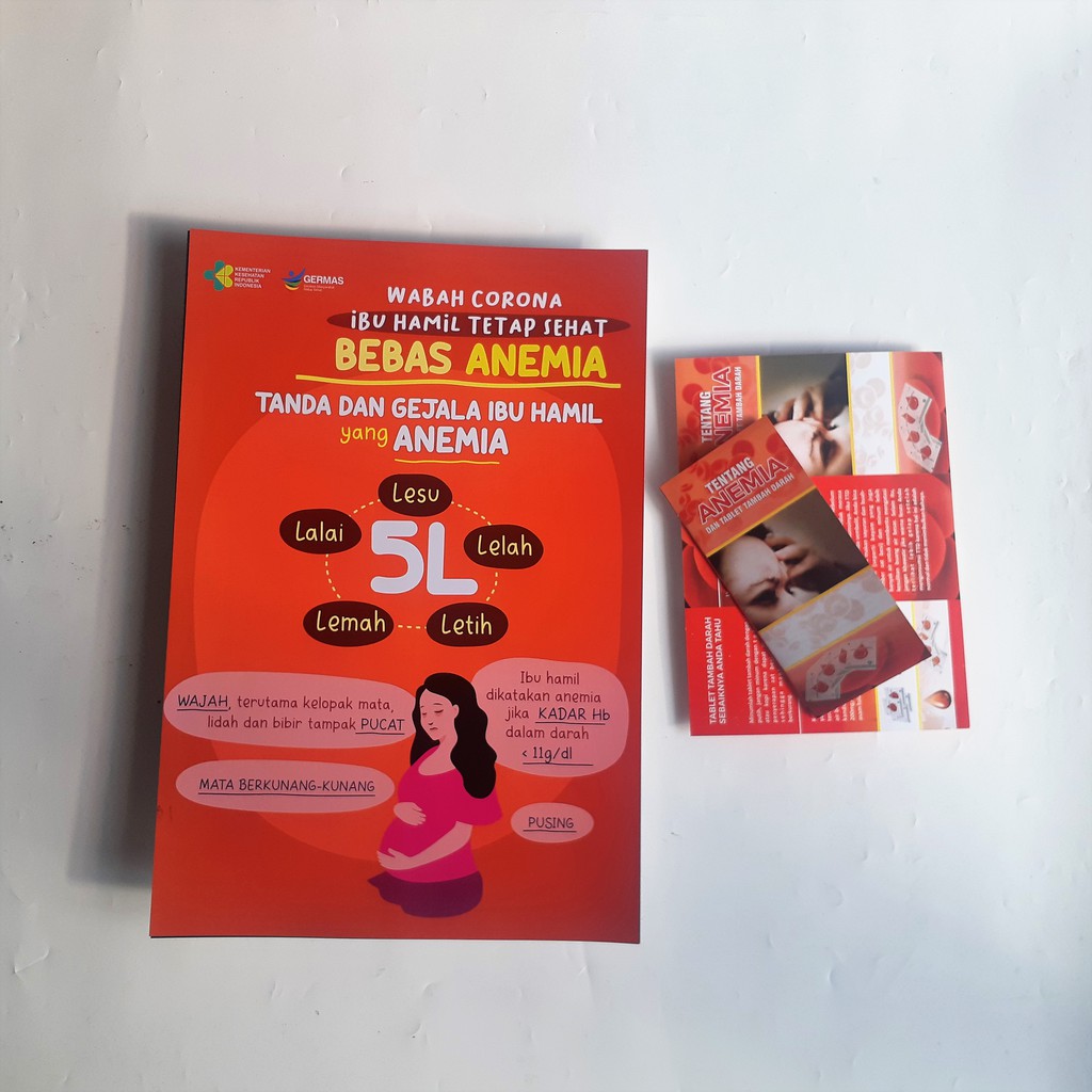 Jual Poster Kesehatan Bonus Leaflet Anemia Poster Ibu Hamil Bebas