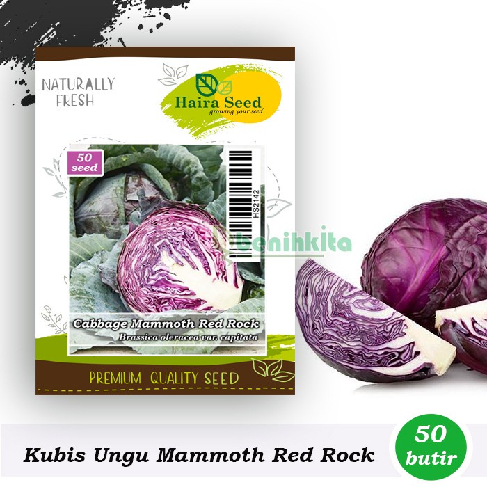 Jual Benih Bibit Kubis Kol Ungu Mammoth Red Rock Haira Seed Shopee