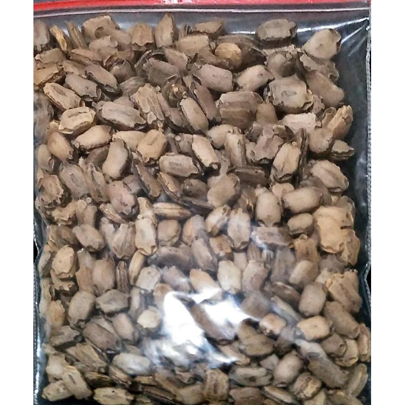 Jual Benih/Biji Pare mini (Pare Hutan) | Shopee Indonesia