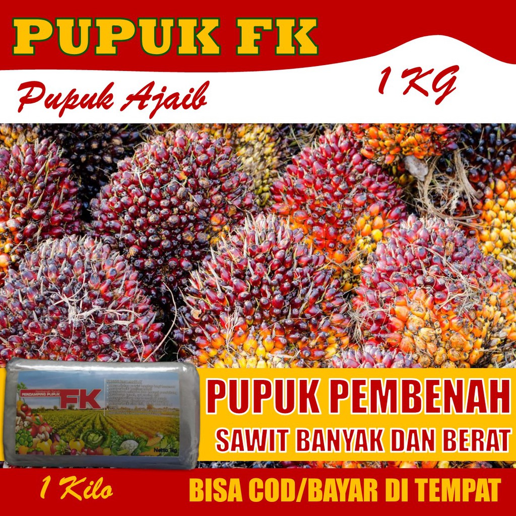 Jual Promo Terlsris Kg Pupuk Fk Kelapa Sawit Pembenah Dan Penyubur