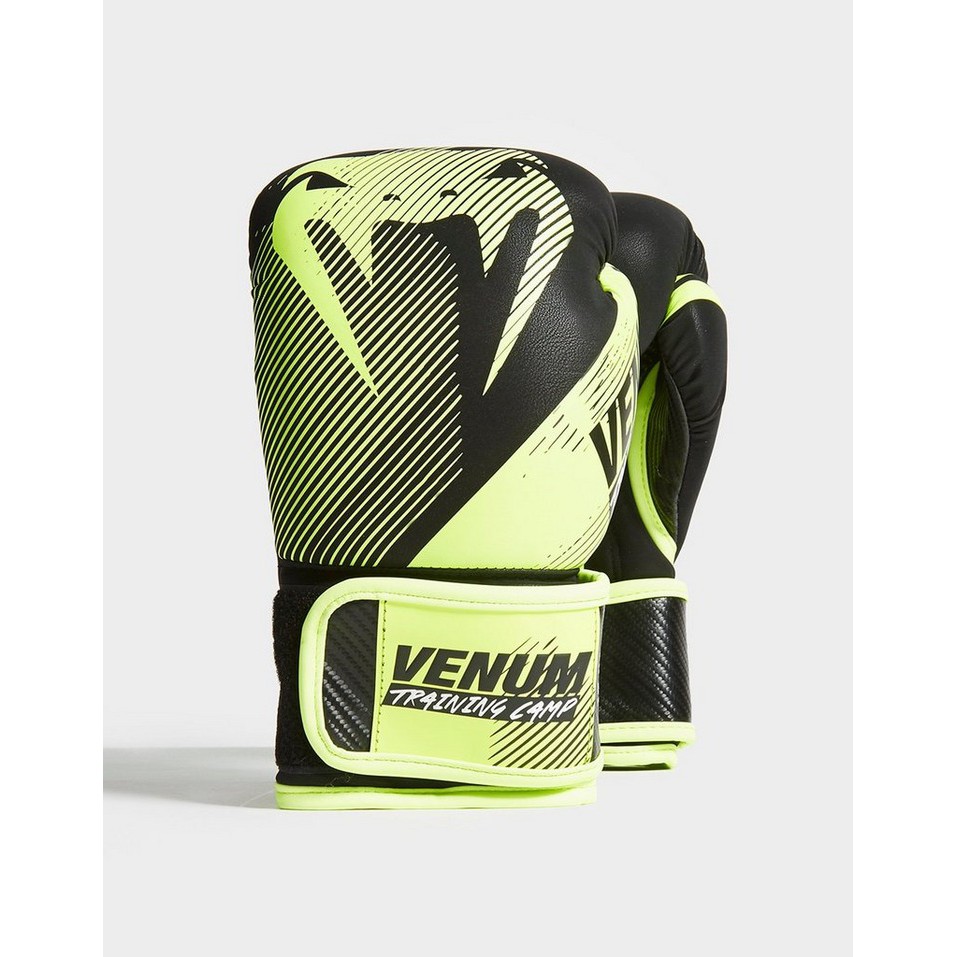 Venum training camp store 2.0 boxing gloves