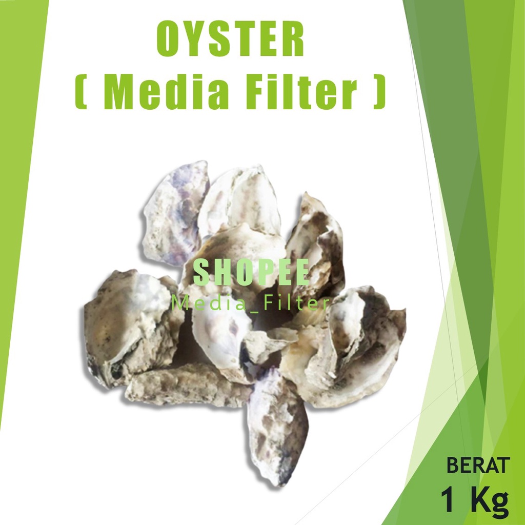 Jual CANGKANG KERANG TIRAM OYSTER SHELL KARANG TIRAM UNTUK MENAIKAN PH