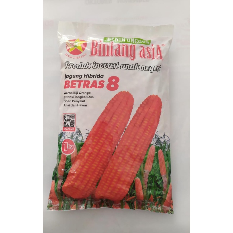 Jual Benih Jagung Hibrida Tongkol Dua BETRAS 8 Cap Bintang Asia 1 Kg ...