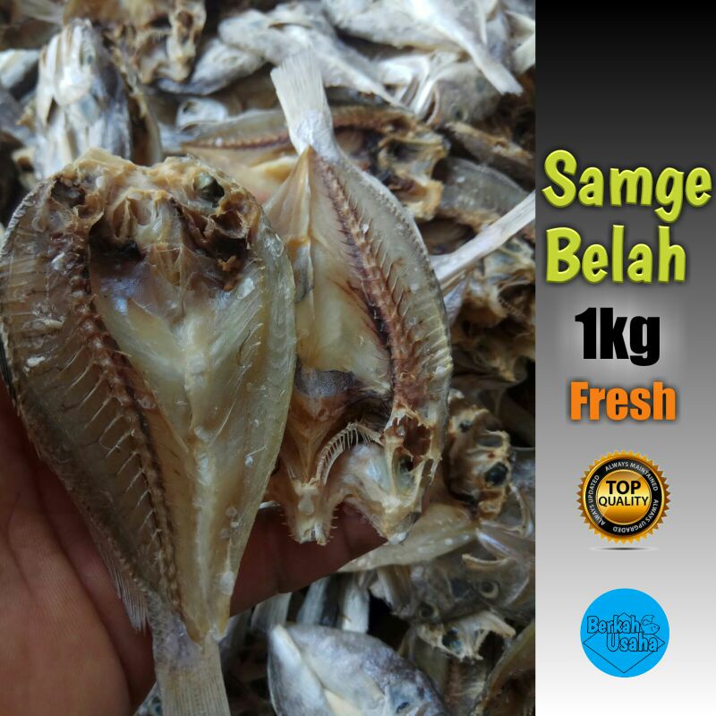 Jual IKAN ASIN BELAHAN SAMGE 1kg | Shopee Indonesia