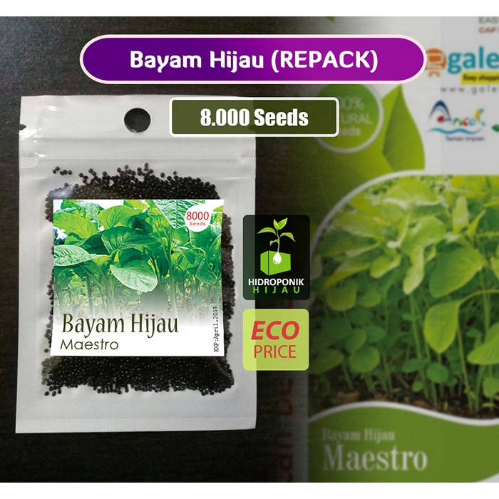 Jual Benih Bayam Hijau Maestro (REPACK) | Shopee Indonesia