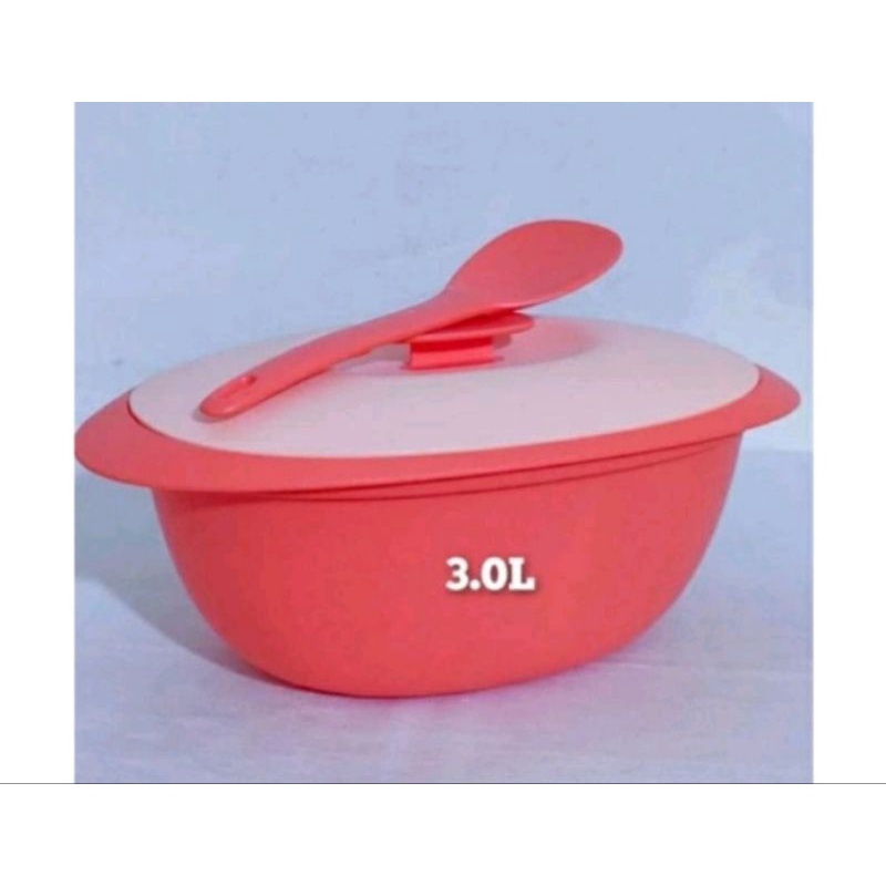 Jual Tupperware Blossom Oval Server Rice Server Toska / Peach Wadah ...