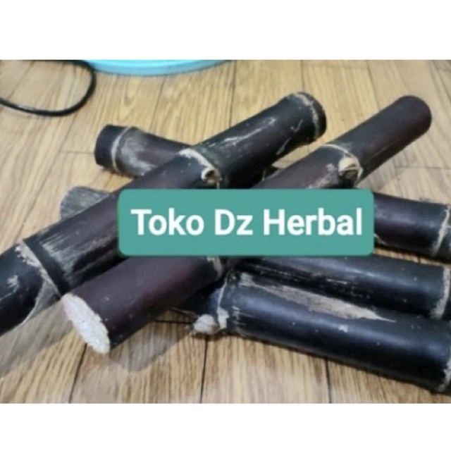 Jual Bibit Tebu Hitam Tebu Wulung Tebu Ireng Per 4 Batang Shopee Indonesia 2871