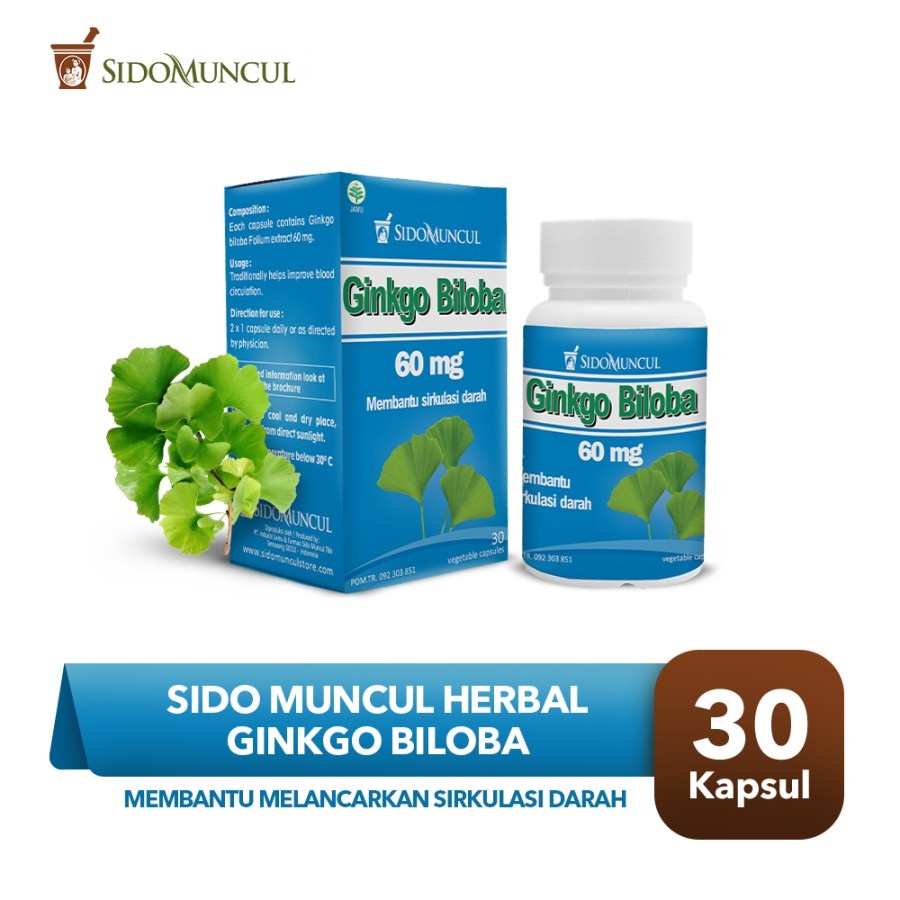 Jual SidoMuncul Ginkgo Biloba - 30 Kapsul | Shopee Indonesia