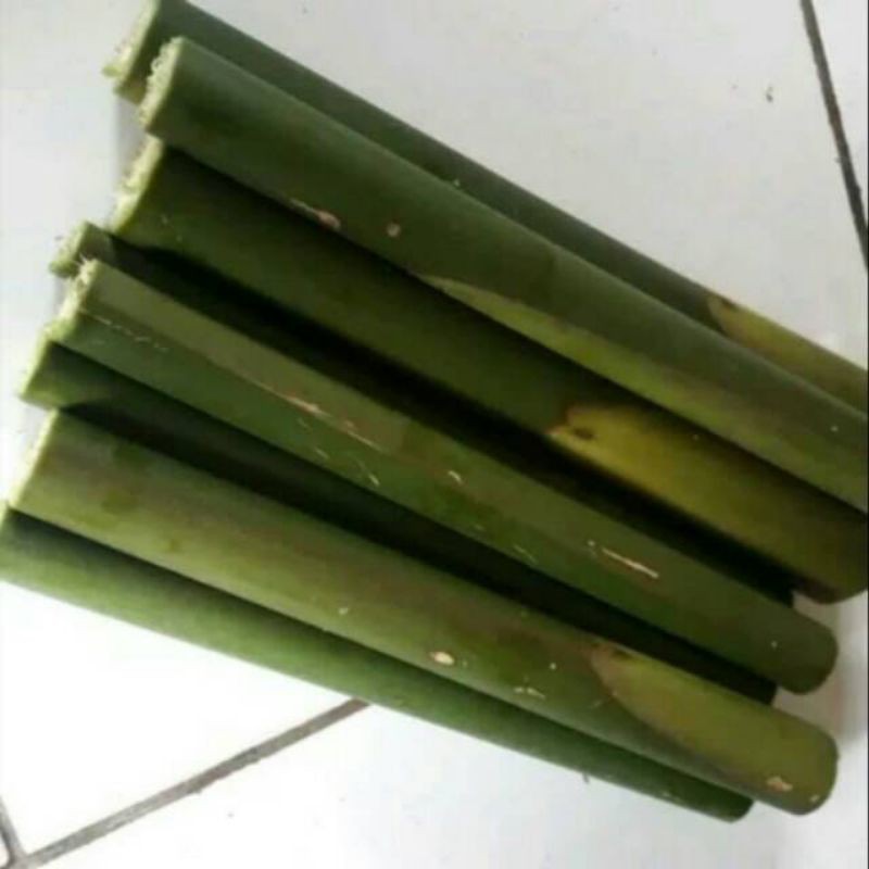 Jual Batang pohon Kecombrang/ batang Honje / cekala / cikala hijau ...