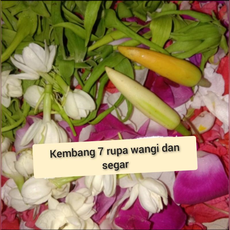 Jual KEMBANG 7 RUPA BUNGA SEGAR MURAH | Shopee Indonesia