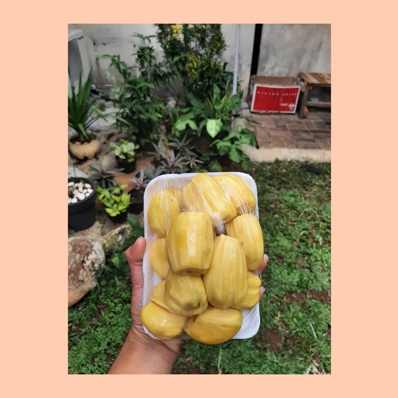 Jual Nangka Kupas Buah Nangka Manis Kupas Shopee Indonesia