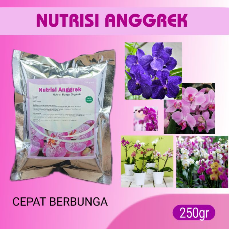 Jual Pupuk Anggrek Agar Cepat Berbunga dan tumbuh tunas, untuk anggrek