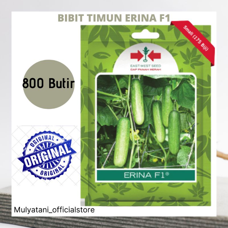 Jual Benih Bibit Timun Lalap Erina F1 800 Butirbiji Original Cap Panah Merah Shopee Indonesia 