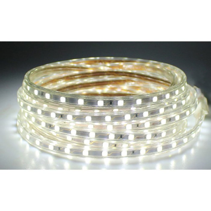 Jual Led Strip Selang Putih SMD 3014 + Colokan Plug 220V Panjang 10 ...